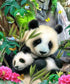 Pandas, Sparrows & Butterflies